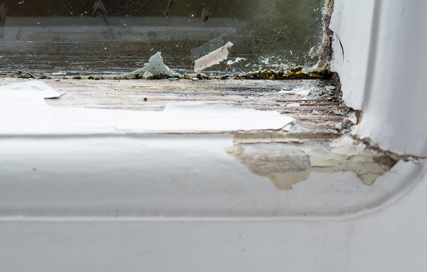 Fenster Sanierung